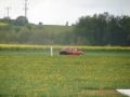 bambivak084