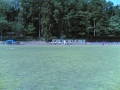 25062006003